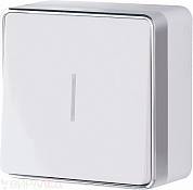 Выкл. однокл.с подсв. накл. / WL15-01-04 белый