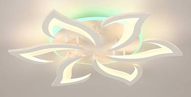 3016/6N WT/RGB (1)