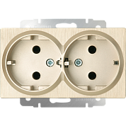 Розетка двойная с заземлением / WL10-SKG-02-IP20 шамп.рифл.